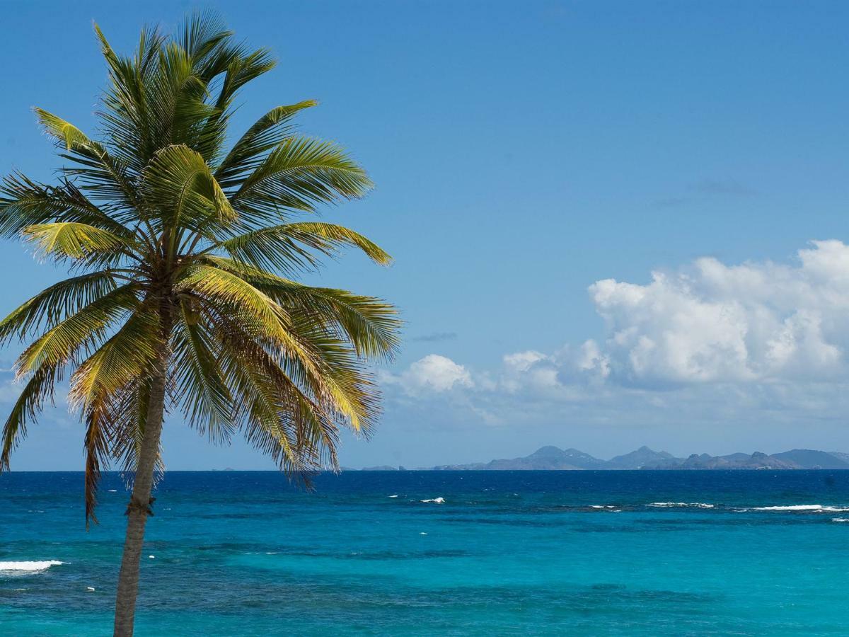Coral Beach Club Villas & Marina Sint Maarten Dış mekan fotoğraf